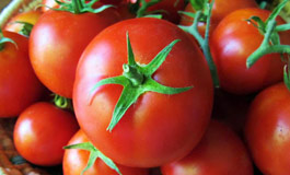 5 دلیل برای خوردن گوجه فرنگی