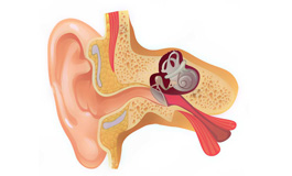 بیماری های گوش
