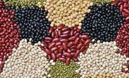حبوبات پر خاصیت زمستانی