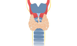 گره تیروئید