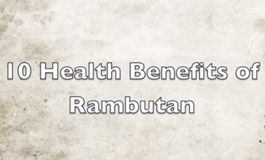 خواص درمانی رمبوتان