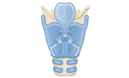پیشگیری از بیمار شدن حنجره