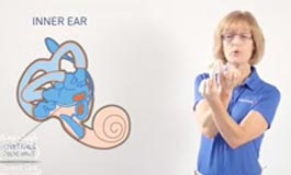گوش داخلی و سرگیجه BPPV