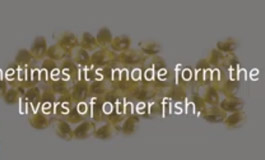 9 دلیل برای مصرف روغن ماهی